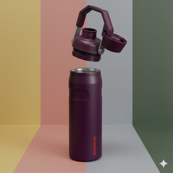 Stanley IceFlow Bottle with Fast Flow Lid | 24 OZ New Year Gift Quencher - Picture 3 of 4